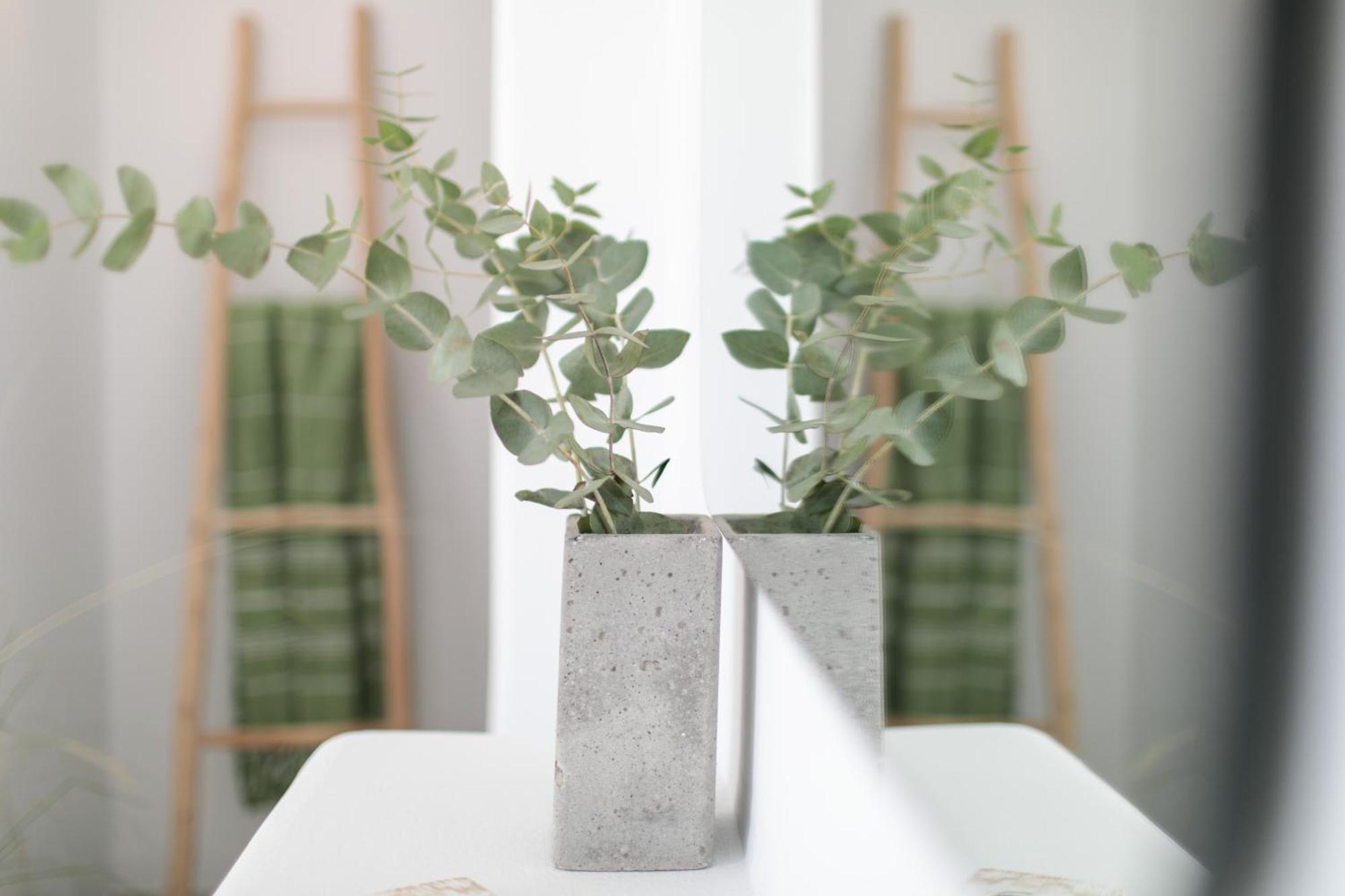 Anamnesia Boutique Apartments Naxos Town Naxos City 外观 照片
